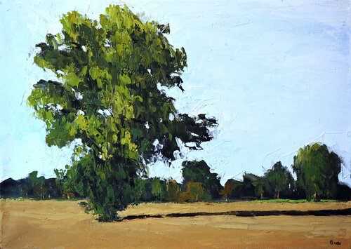 Summer tree Yuanyuan Liu