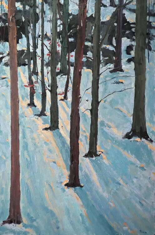 Winter landscape Yuanyuan Liu