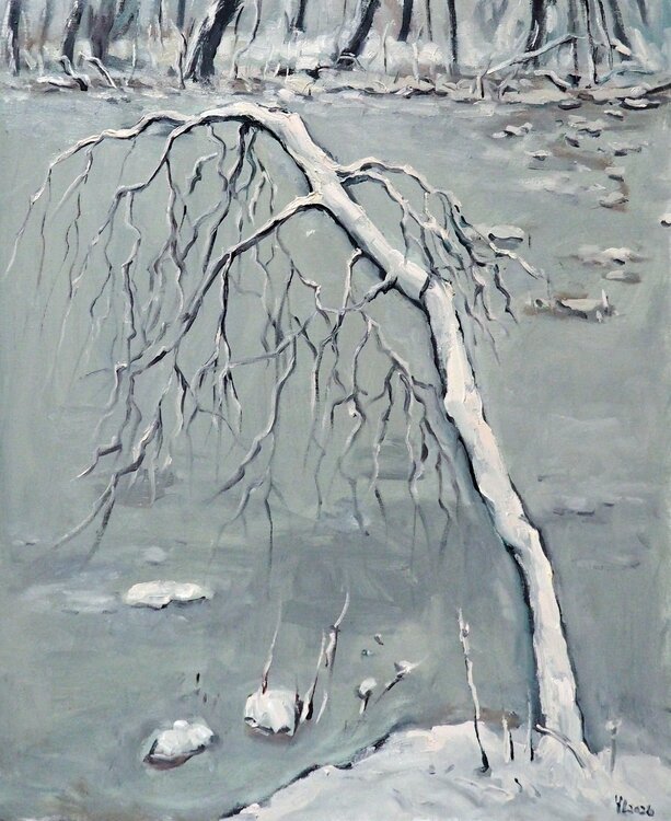 Winter Landscape Yuanyuan Liu