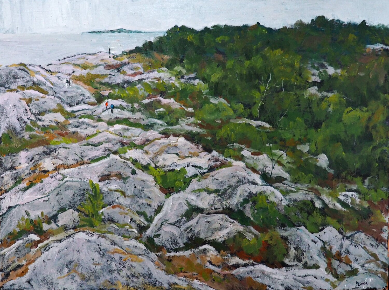 A veiw from Buller island Yuanyuan Liu Originalgemälde zu verkaufen
