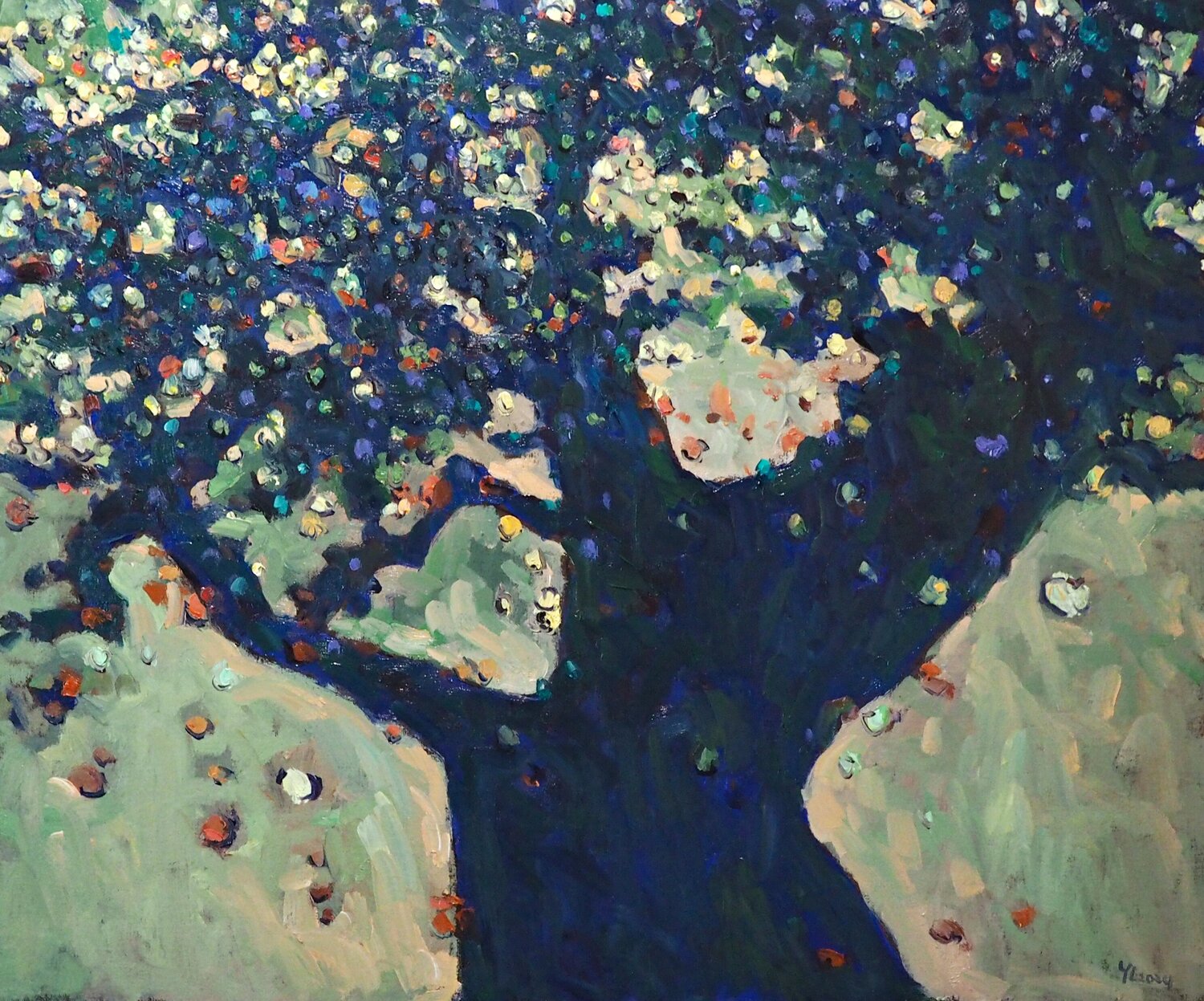 The apples Yuanyuan Liu