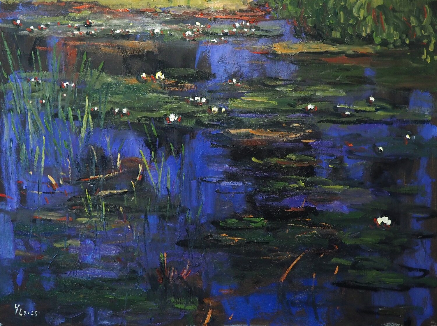 Water Lilies Yuanyuan Liu
