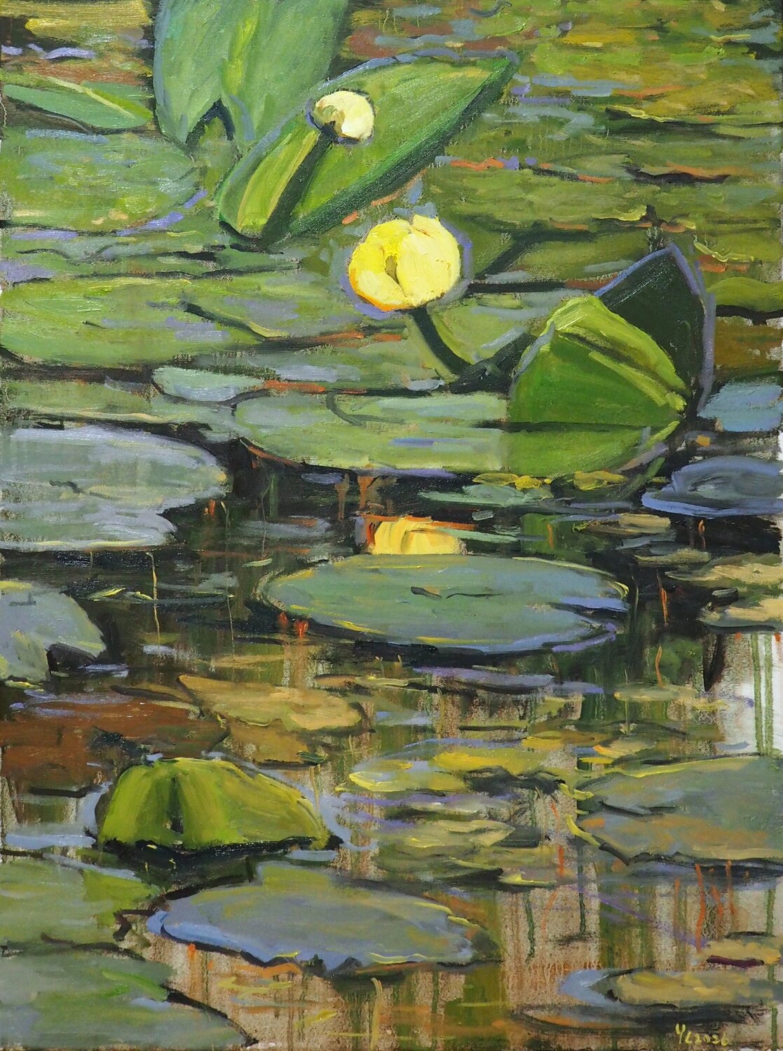 Water Lilies Yuanyuan Liu