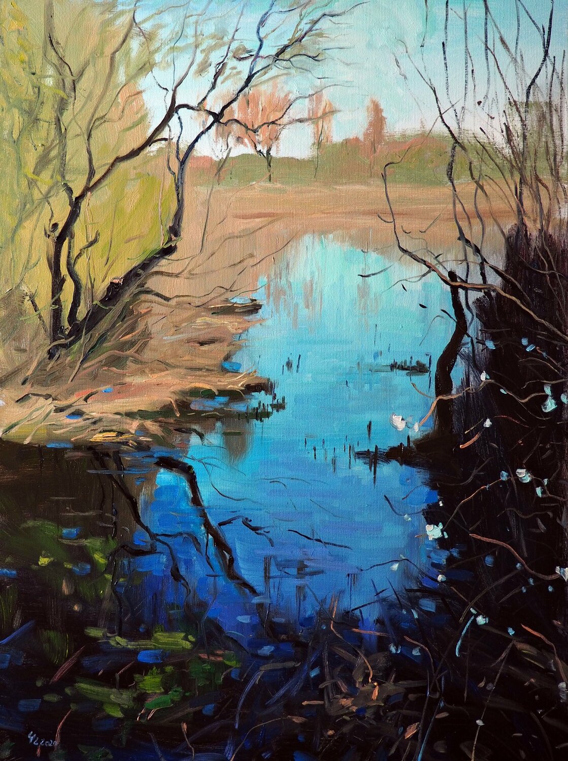 Spring landscape Yuanyuan Liu