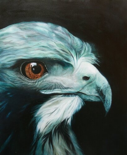 Eagle Eye van Marion Rauter, Schilderij te koop op Singulart