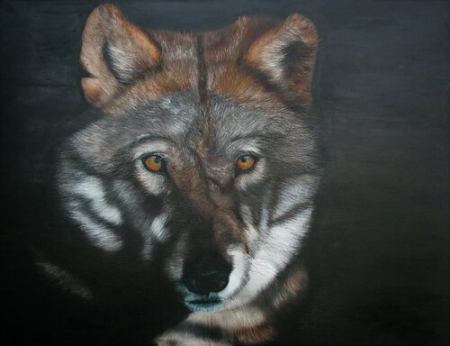 "Wolf" van Marion Rauter, Schilderij te koop op Singulart