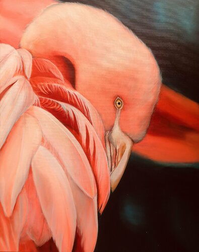 Flamingo van Marion Rauter, Schilderij te koop op Singulart