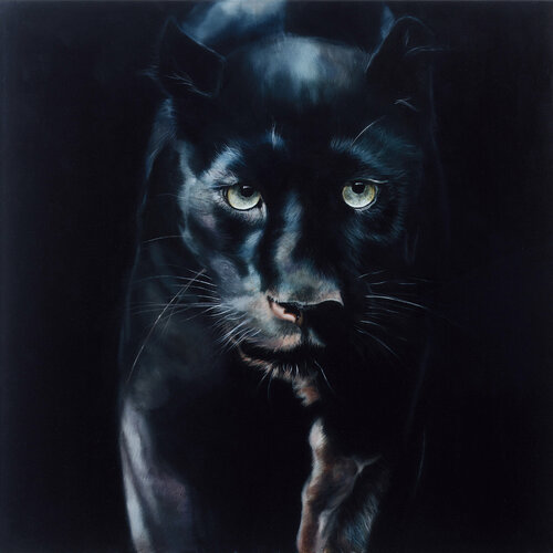 Black Panther van Marion Rauter, Schilderij te koop op Singulart