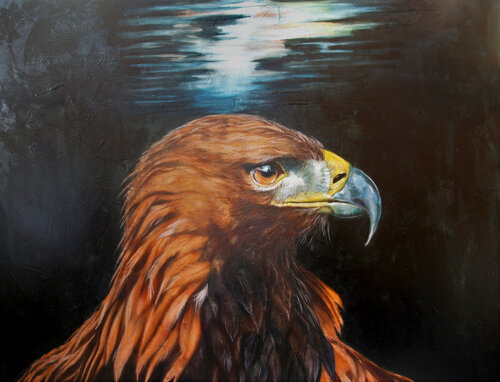 Eagle van Marion Rauter, Schilderij te koop op Singulart