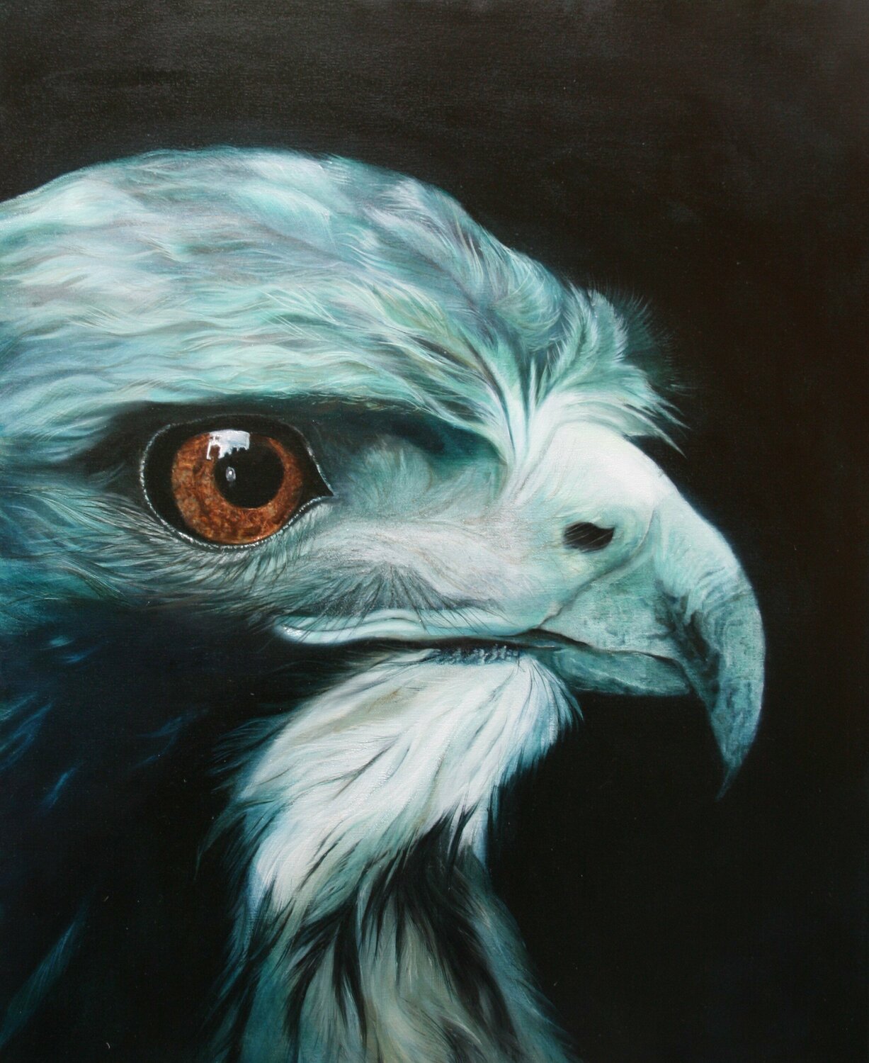 Eagle Eye Marion Rauter