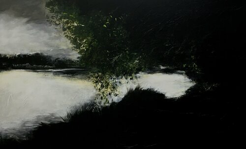 l étang de Cieux Véronique Bourgeois-Noury