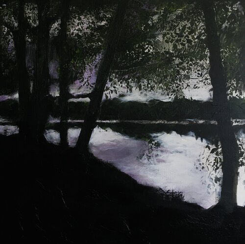 l étang de Cieux Véronique Bourgeois-Noury