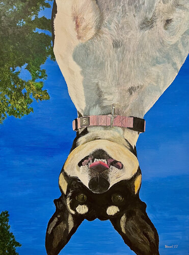 Duna van Tom Blood, Schilderij te koop op Singulart