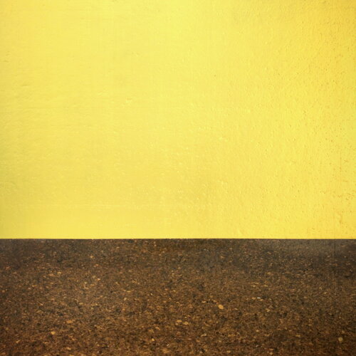 Undercover Cork No. 5 par Carla Sá Fernandes, Peinture en vente sur Singulart