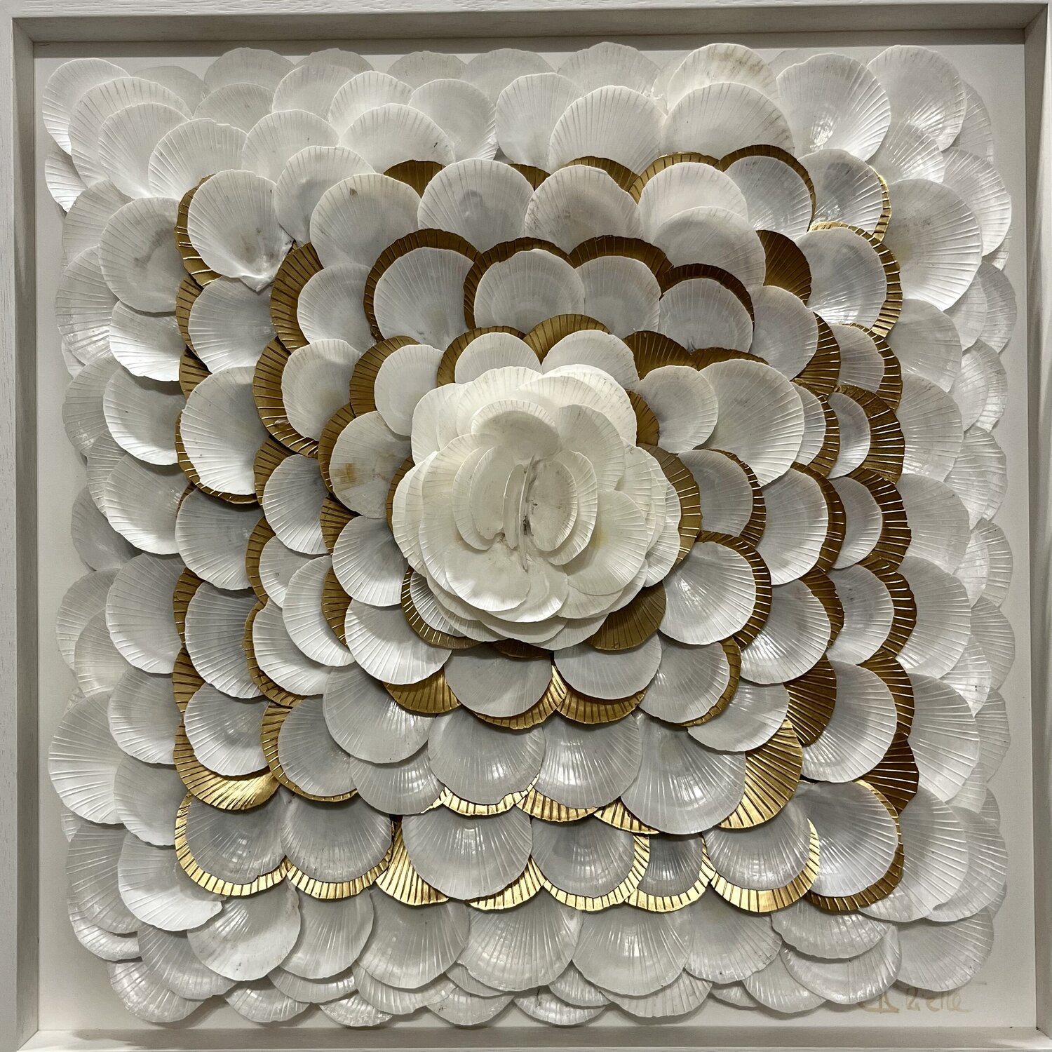 CAMELIA Aliette