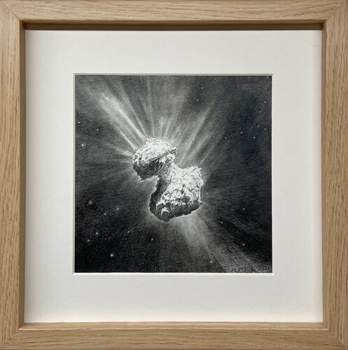 Genesis and Demise par Anne Wölk, Œuvre sur papier en vente sur Singulart