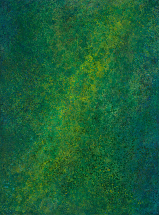 Forest Light Lori Latham