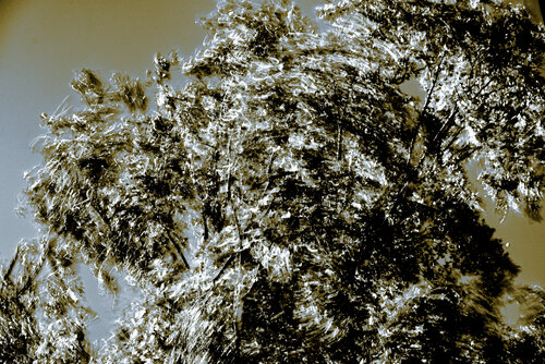 Movement N˚ 1.1. van Jo Schmid, Fotografie te koop op Singulart