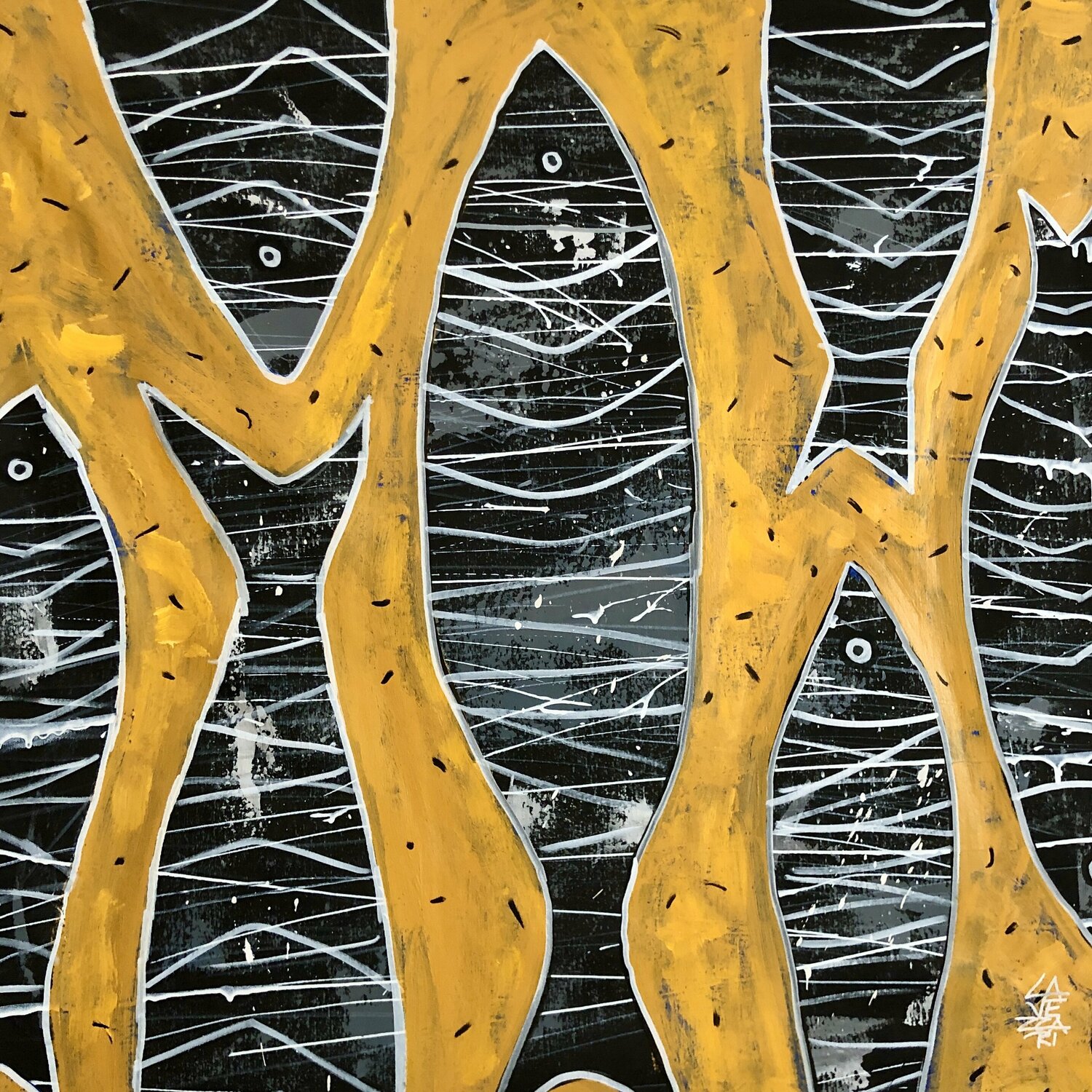 PECES Gabriela Lavezzari