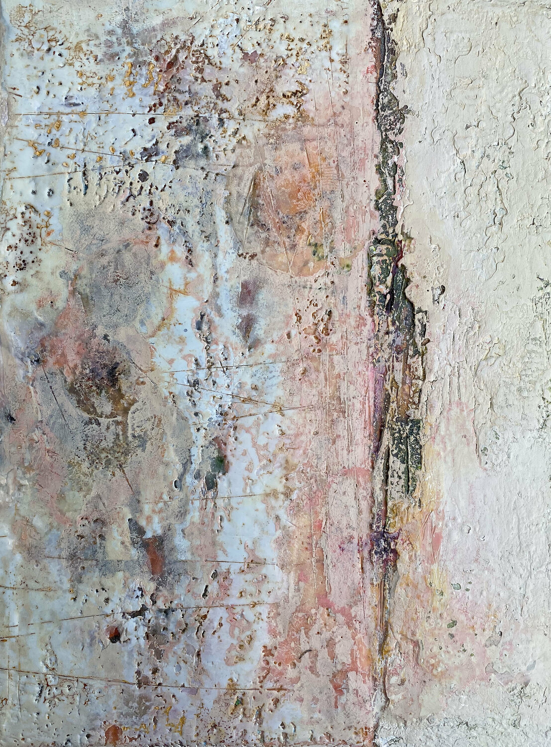 Salmon No. 1 Susan Handau