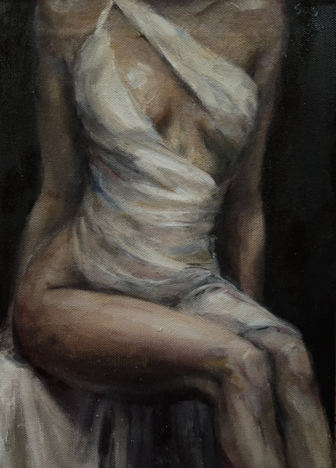 Venus Liubou Sas