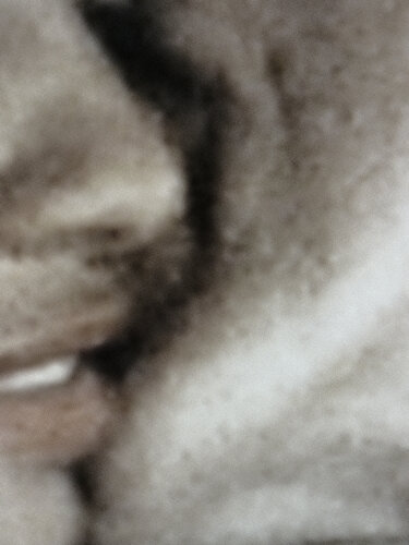 Des torrents d'amour par Évelyne Coutas, Photographie en vente sur Singulart
