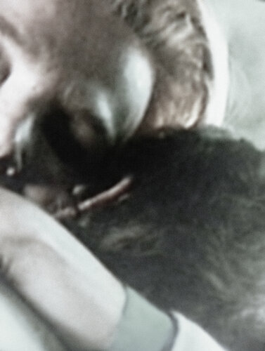 Des torrents d'amour by Évelyne Coutas, 사진 for Sale on Singulart