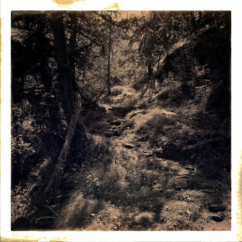 Le recours aux forêts di Évelyne Coutas, Fotografia in vendita su Singulart