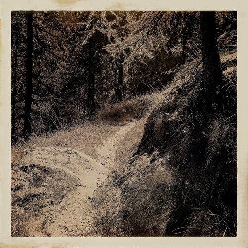 Le recours aux forêts di Évelyne Coutas, Fotografia in vendita su Singulart