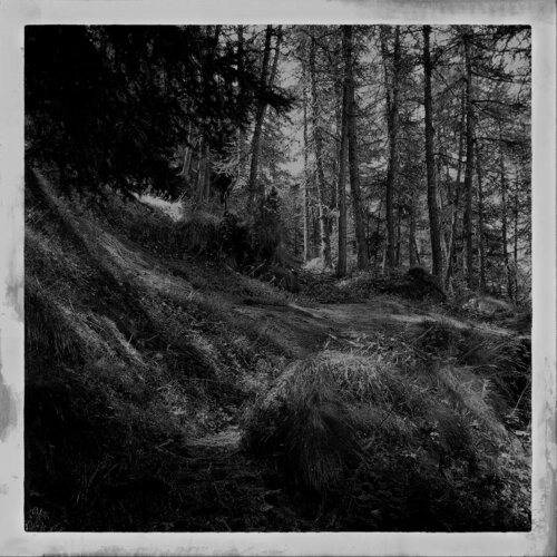 Le recours aux forêts Évelyne Coutas