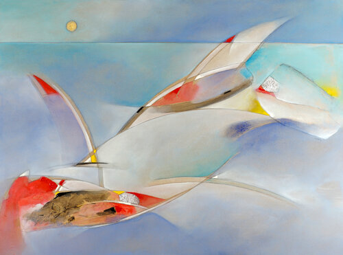 SAVE THE OCEAN Carlo Olper