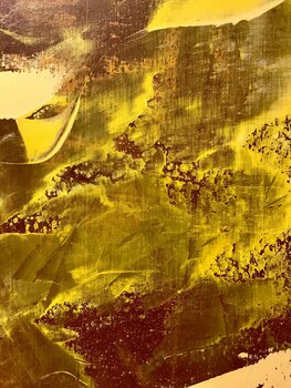 Autumn explosion Javier Santana