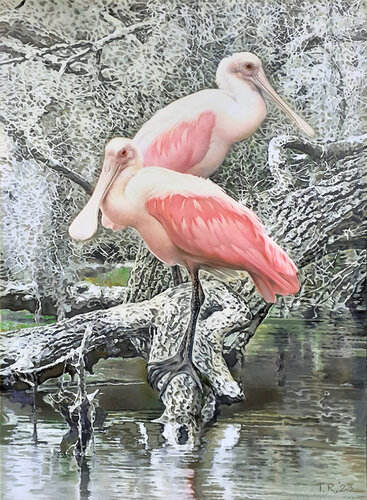 ROSEATE SPOONBILLS von Tatiana Rezvaya, Malerei kaufen auf Singulart