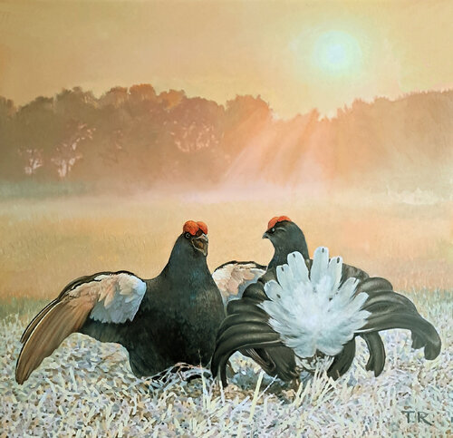 BLACK GROUSE ON THE LEK / MAN-TO-MAN TALK von Tatiana Rezvaya, Malerei kaufen auf Singulart