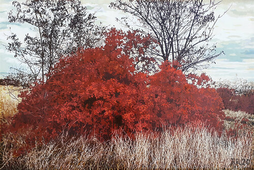RED BUSH von Tatiana Rezvaya, Malerei kaufen auf Singulart