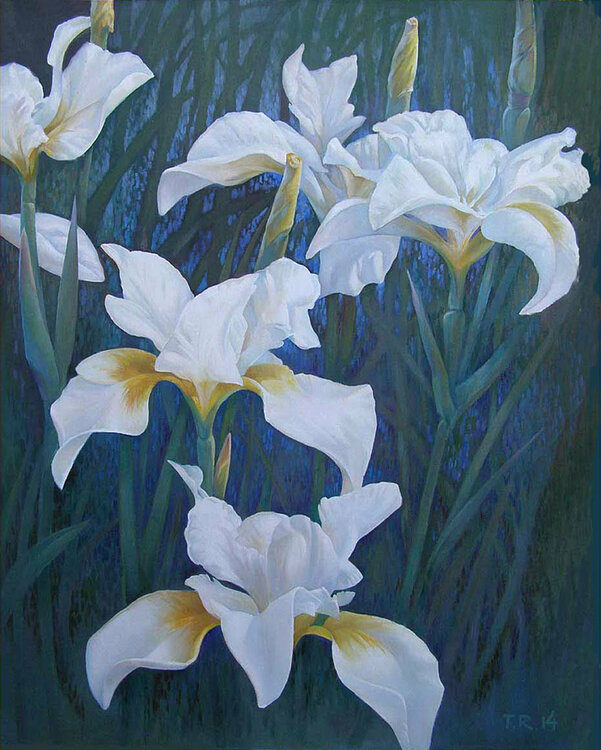 WHITE IRISES Tatiana Rezvaya