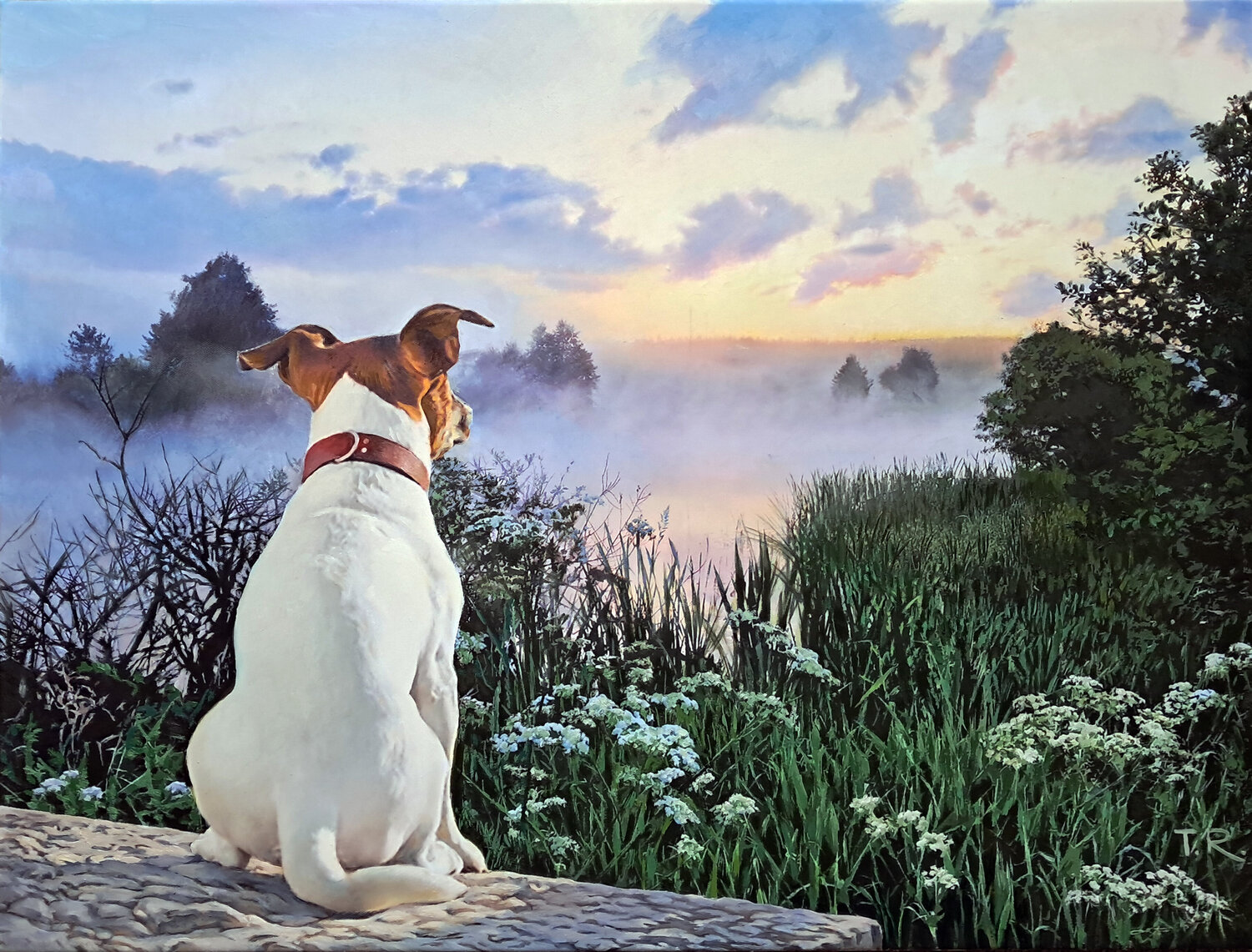 A DAWNLOVER Tatiana Rezvaya