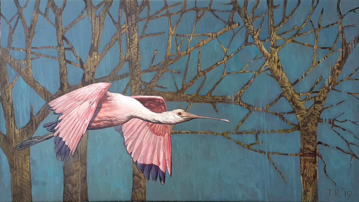 A SPOONBILL IN FLIGHT Tatiana Rezvaya