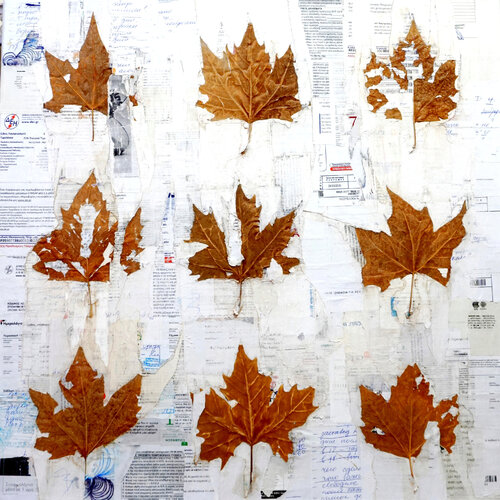 Herbarium by Natalia Kazirelova, Other Media for Sale on Singulart