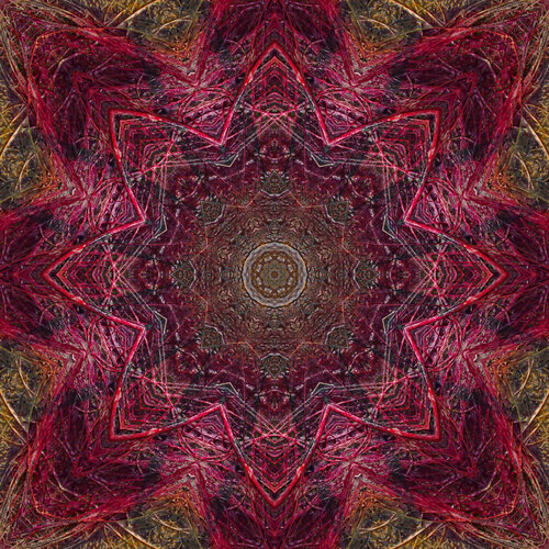 Winter Fairy Tale Natalia Kazirelova