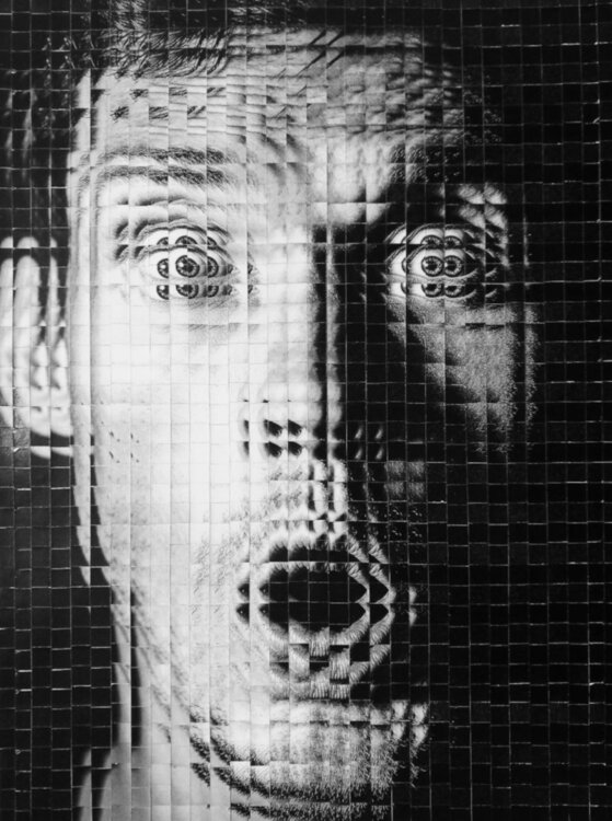 Perceptual Overload Natalia Kazirelova