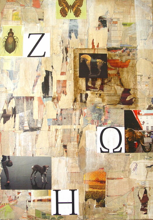 What do animals think of us? Natalia Kazirelova