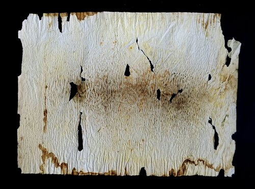 Burnout by Stanislav Bojankov, Work on Paper for Sale on Singulart