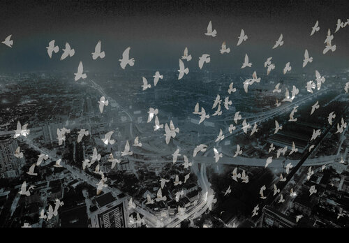 Nuit urbaine by Sophie Roy, Photography for Sale on Singulart