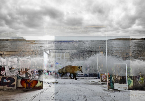 Errance by Sophie Roy, Photography for Sale on Singulart