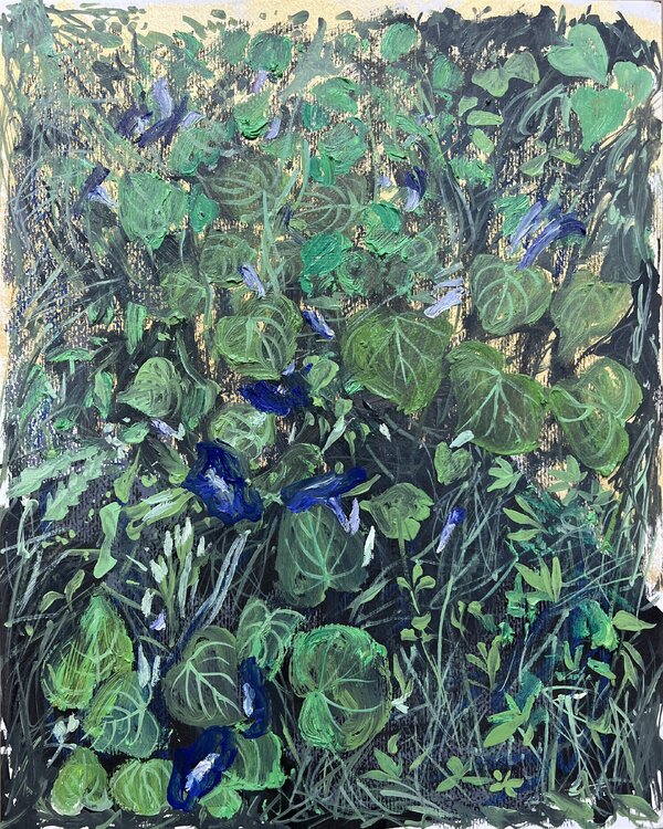 morning glory Joong-hyun Park