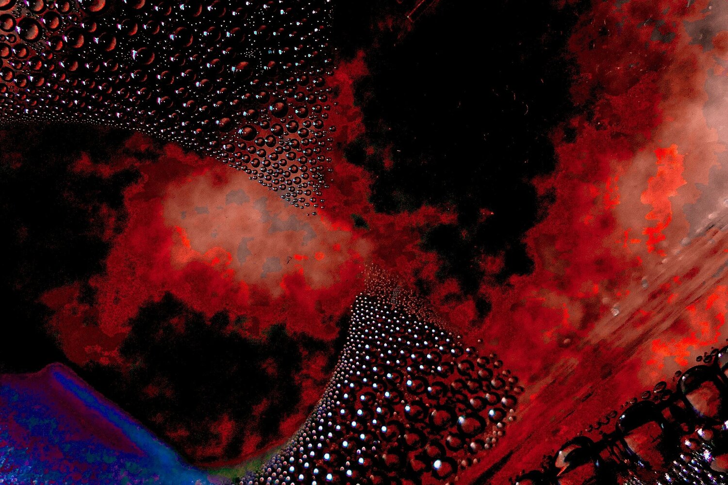 Fusion Marie T. Roche