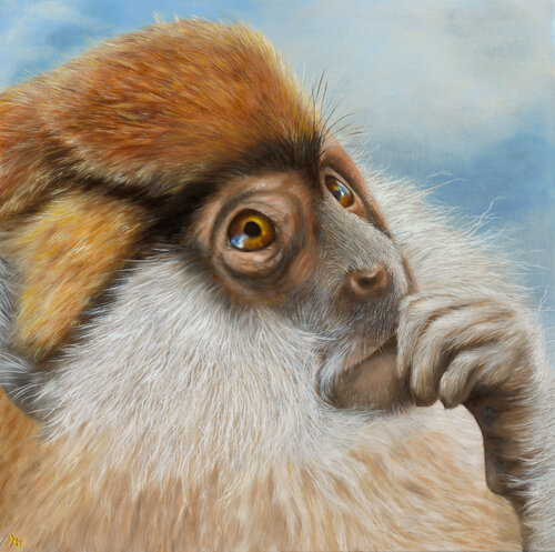 What about us Nanda Hoep