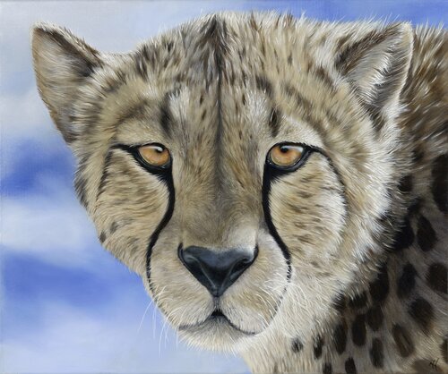 Suspense by Nanda Hoep, 油畫 for Sale on Singulart