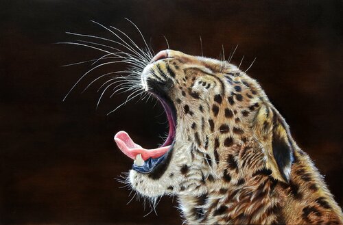 Nighty Night by Nanda Hoep, 油畫 for Sale on Singulart